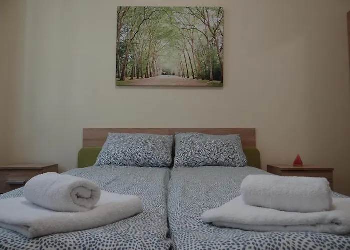 Camino * 萨帕雷瓦巴尼亚