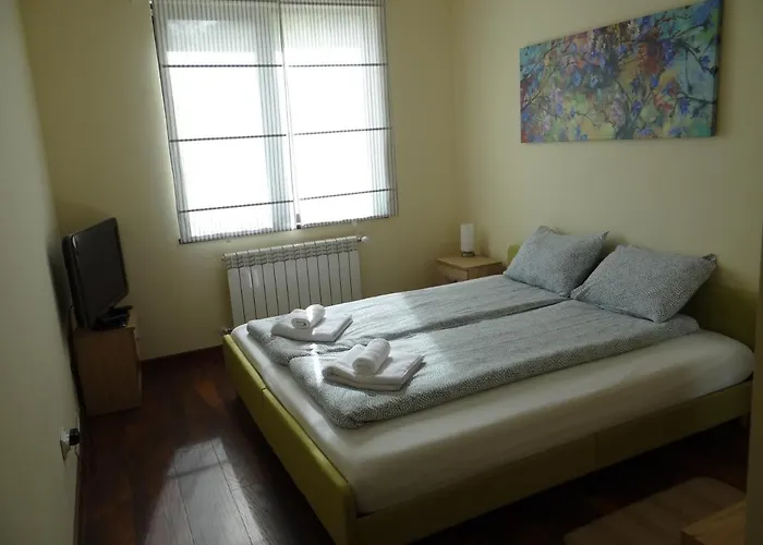 Camino * 萨帕雷瓦巴尼亚